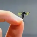 China Unveils Mosquito-Sized Drone for Battlefield Surveillance