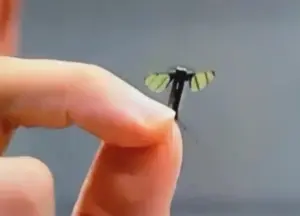 China Unveils Mosquito-Sized Drone for Battlefield Surveillance